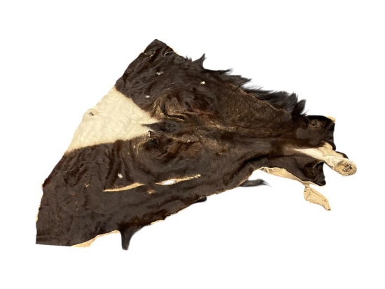 BLACK AND WHITE ZAMBIA SABLE TANNED CAPE HIDE