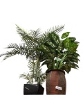HOME DECOR DIEFFENBACHIA AND ARECA PALM ARTIFICIAL PLANT