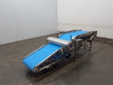 Mettler-Toledo V4-Rad Metal Detector with a 31