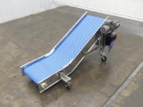 BMI Blue Belt Incline Takeaway Conveyor
