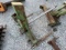 Green Hay Spear