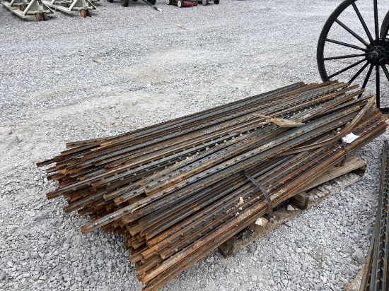 Bundle of 200x T posts