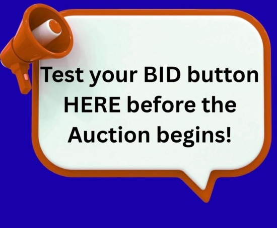Test Your Bid Button Here!