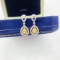 14k Gold 0.91 Ctw Natural Yellow Diamond & Diamond Earrings