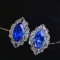 14k Gold 2.96 Ctw Natural Sapphire & Sapphire Earrings