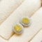 14k Gold 0.62 Ctw Natural Yellow Diamond & Diamond Earrings