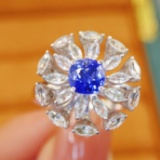 14k Gold 2.35 Ctw Natural Sapphire & Sapphire Ring