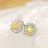 14k Gold 0.53 Ctw Natural Yellow Diamond & Diamond Earrings