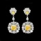 14k Gold 4.68 Ctw Natural Yellow Diamond & Diamond Earrings