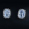 14k Gold 1.38 Ctw Natural Sapphire & Sapphire Earrings