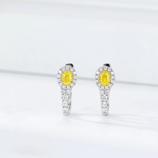 14k Gold 0.42 Ctw Natural Yellow Diamond & Diamond Earrings