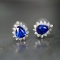 14k Gold 0.87 Ctw Natural Sapphire & Diamond Earrings