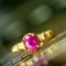 14k Gold 1.10 Ctw Natural Ruby & Diamond Ring