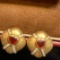 14k Gold 1.29 Ctw Natural Ruby & Diamond Earrings