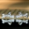 14k Gold 0.5 Ct Natural H Diamond Earrings