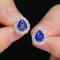 14k Gold 2.98 Ctw Natural Sapphire & Diamond Earrings
