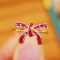 14k Gold 0.7 Ct Natural Ruby Ring