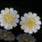 14k Gold 1.17 Ctw Natural Yellow Diamond & Diamond & Flowers Earrings