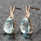14k Gold 3.18 Ct Natural Aquamarine & Diamond Earrings