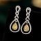 14k Gold 0.52 Ct Natural Color Diamond Earrings