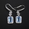 14k Gold 2.05 Ctw Natural Aquamarine & Diamond Earrings