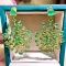 14k Gold 7.02 Ct Natural Emerald Earrings