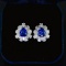 14k Gold 3.87 Ctw Natural Sapphire & Diamond Earrings