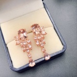 14k Gold 9.83 Ct Natural Morganite Earrings
