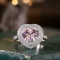 14k Gold 2.9 Ctw Natural Morganite & Diamond Ring