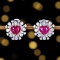 14k Gold 2.82 Ctw Natural Ruby & Diamond Earrings