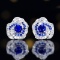 14k Gold 0.72 Ctw Natural Sapphire & Diamond Earrings