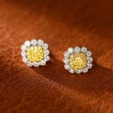 14k Gold 0.63 Ctw Natural Yellow Diamond & Diamond & Flowers Earrings