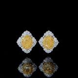 14k Gold 2.30 Ctw Natural Yellow Diamond & Diamond Earrings