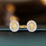 14k Gold 0.70 Ctw Natural Yellow Diamond & Diamond Earrings