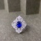 14k Gold 2.62 Ctw Natural Sapphire & Diamond Ring
