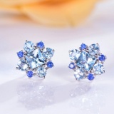 14k Gold 2.99 Ct Natural Aquamarine Earrings