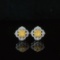 14k Gold 0.65 Ctw Natural Yellow Diamond & Diamond Earrings