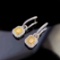 14k Gold 0.90 Ctw Natural Yellow Diamond & Diamond Earrings/pendant