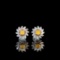 14k Gold 0.50 Ctw Natural Yellow Diamond & Diamond Earrings