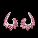 14k Gold 2.70 Ctw Natural Ruby & Diamond Earrings