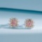 14k Gold 0.56 Ctw Natural Pink Diamond & Diamond Earrings