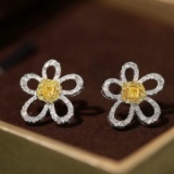 14k Gold 0.8 Ctw Natural Yellow Diamond & Diamond Earrings