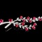 14k Gold 2.98 Ctw Natural Ruby & Diamond Brooch