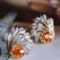 14k Gold 3.52 Ctw Natural Partschinite & Diamond Earrings