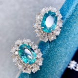 14k Gold 3.4 Ctw Natural Paraiba Tourmaline & Diamond Earrings