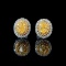 14k Gold 0.76 Ctw Natural Yellow Diamond & Diamond Earrings