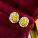 14k Gold 0.90 Ctw Natural Yellow Diamond & Diamond Earrings