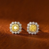 14k Gold 0.63 Ctw Natural Yellow Diamond & Diamond Earrings