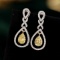 14k Gold 0.5 Ct Natural Yellow Diamond & Diamond Earrings