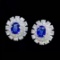 14k Gold 3.83 Ctw Natural Sapphire & Sapphire Earrings